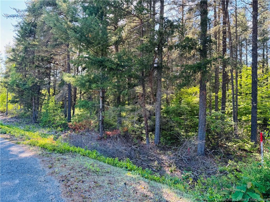 Land in Miramichi 5