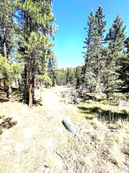 Lot 58 Calle De Los Indios, Angel Fire, NM, 87710 | Card Image