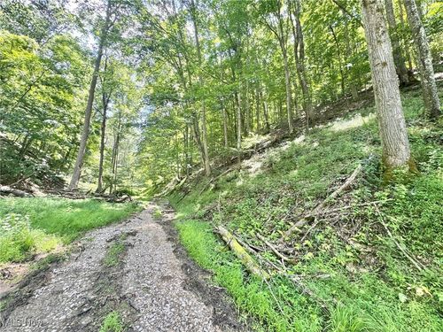 1588 Crummies Creek Rd, Arnoldsburg, WV, 25234-7607 | Card Image