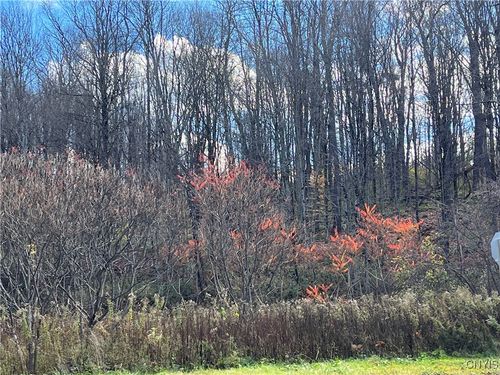 0000 State Route 28, Barneveld, NY, 13304 | Card Image