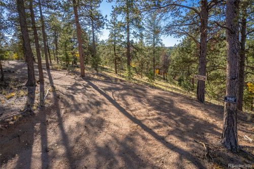 980 Spring Creek Dr, Divide, CO, 80814-8138 | Card Image