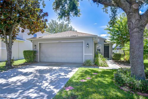 19555 Timberbluff Dr, LAND O LAKES, FL, 34638-2589 | Card Image