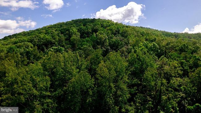 4179 Fiery Run Rd, House other with 5 bedrooms, 3 bathrooms and null parking in LINDEN VA | Image 67