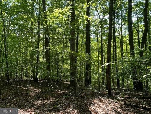 2 Fiery Run Rd, Linden, VA, 22642 | Card Image