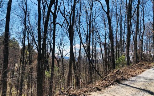 LT113 Laurel Ln, Clayton, GA, 30525 | Card Image