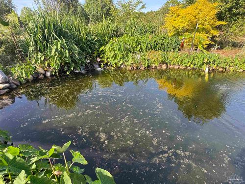 9460 American Farms Rd, Milton, FL, 32583 | Card Image