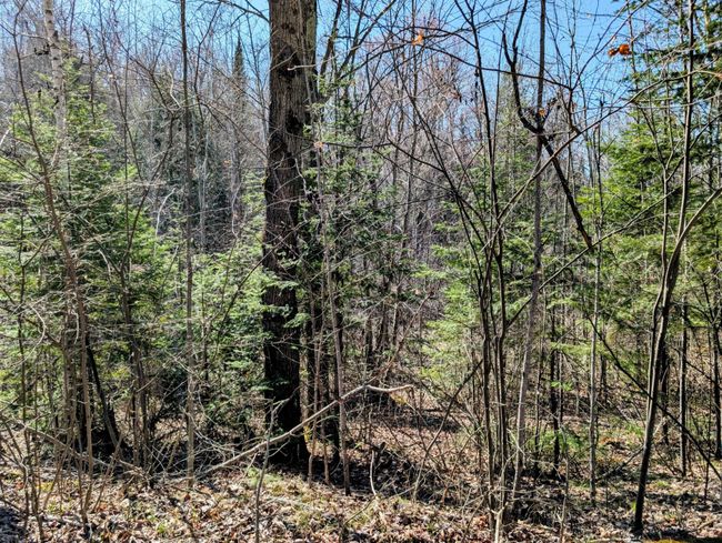 N12912 State Highway 13, House other with 2 bedrooms, 1 bathrooms and null parking in Fifield WI | Image 50