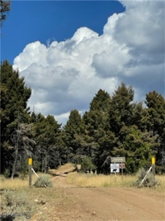 Adjacent Forest Service access and roadway | Image 6