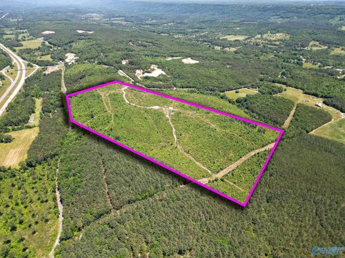 74 ACRES Bethel Rd, Valley Head, AL, 35989 | Card Image