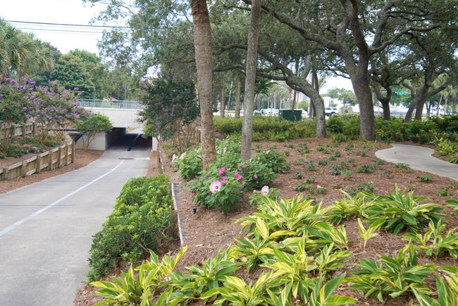 Sandestin | Image 37