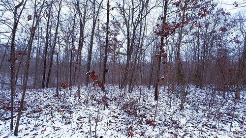 0 Foxtrot Rd, Cadet, MO, 63630 | Card Image