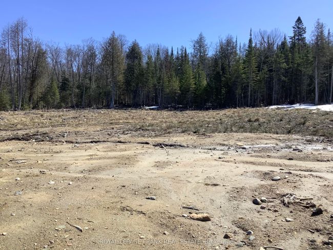 20833 Highway 118, Home with 0 bedrooms, 0 bathrooms and null parking in Wilberforce ON | Image 6