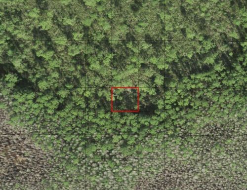 0 Holopaw Groves Rd, Saint Cloud, FL, 34772 | Card Image