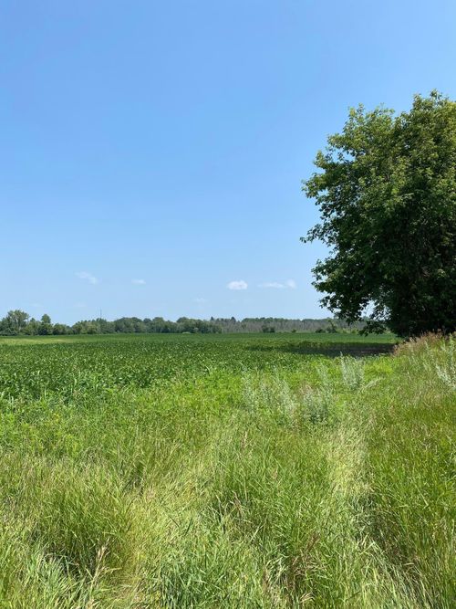 TBD Highway 65 Ne, Braham, MN, 55006 | Card Image