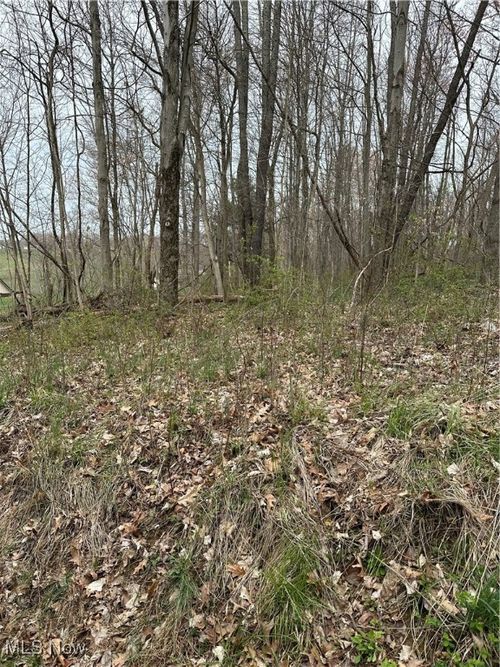 41314 Helen Gregg Rd, Bethesda, OH, 43719-9764 | Card Image