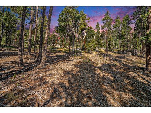 231 Granite Dr, Drake, CO, 80515 | Card Image