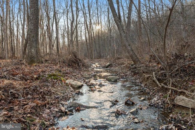 LOT 4 Back Creek Rd, Home with 0 bedrooms, 0 bathrooms and null parking in GORE VA | Image 5