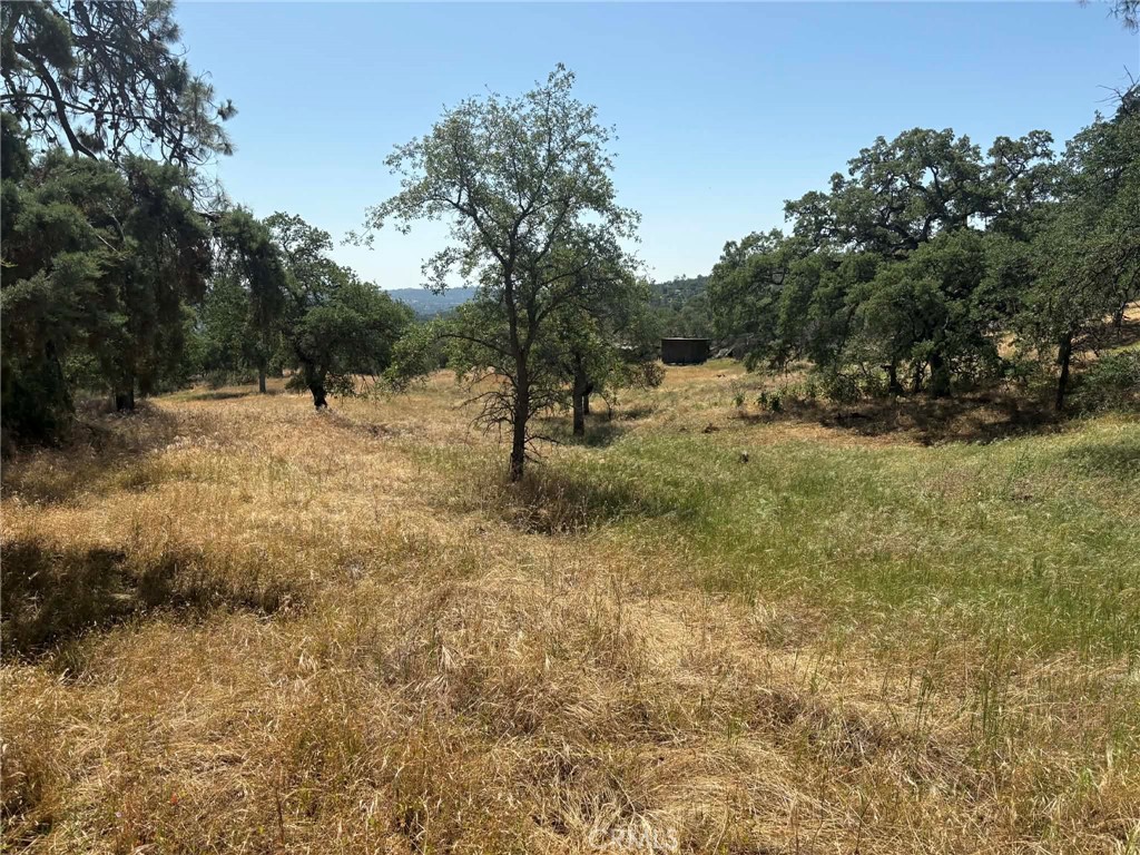 Land in Coarsegold 2