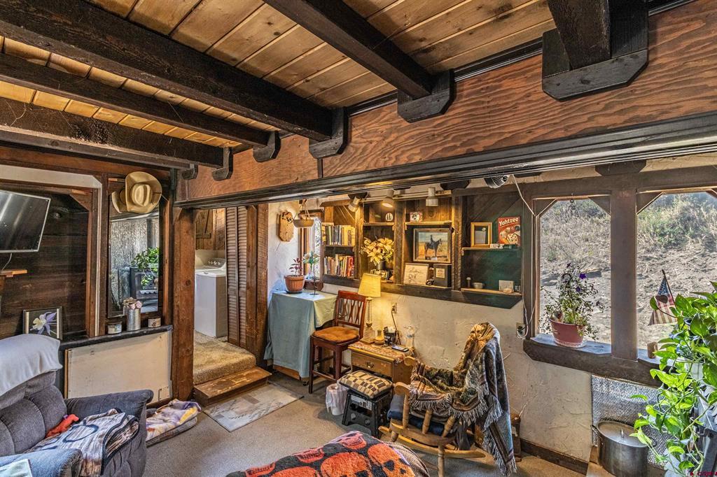 Residential in Pagosa Springs 2