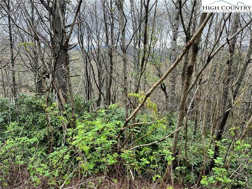 Lot 24 Cielo Rd, Blowing Rock, NC, 28605 | Card Image