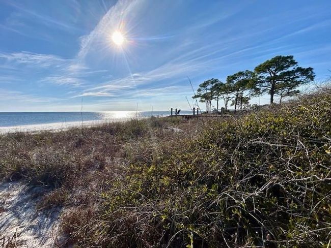1464 Alligator Dr, House other with 3 bedrooms, 2 bathrooms and null parking in ALLIGATOR POINT FL | Image 34