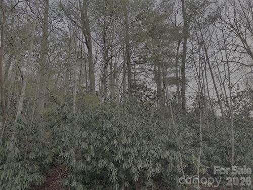 71-742 Zelda Ct, Hendersonville, NC, 28792-9525 | Card Image