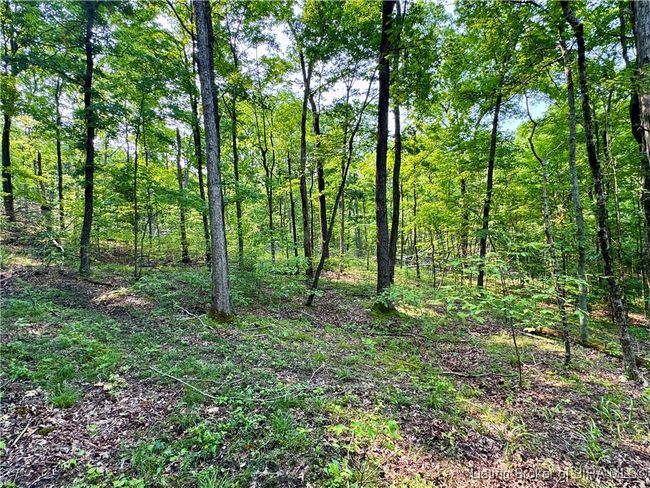 2 N Main St, Home with 0 bedrooms, 0 bathrooms and null parking in English IN | Image 10