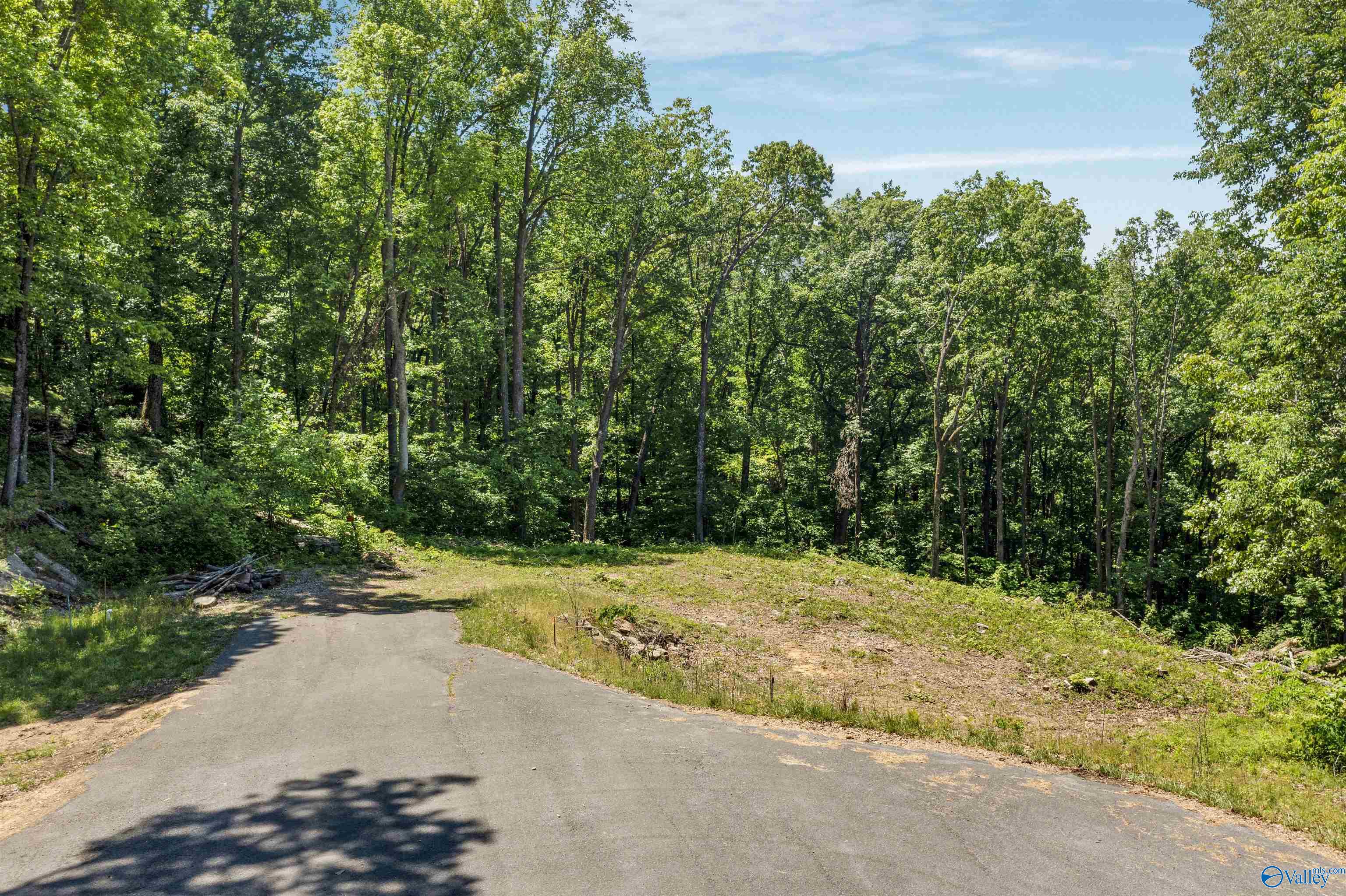 Land in Fort Payne 2