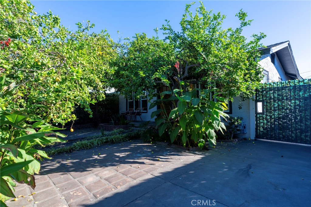 Residential in Los Angeles 3