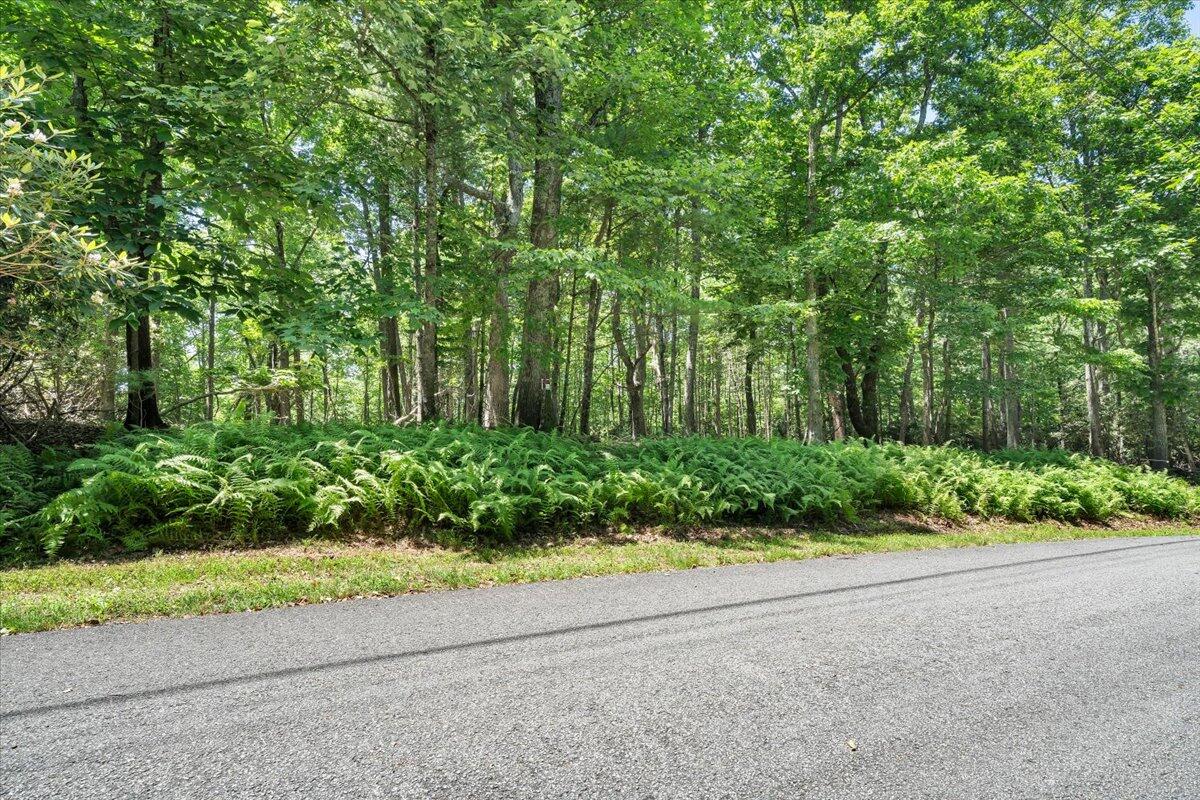 Land in Fancy Gap 5