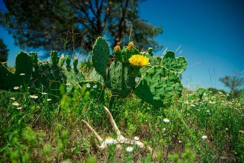 00 RM 2291 Ranch Road 2291, Menard, TX, 76859 | Card Image