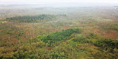 TBD 340th St, New York Mills, MN, 56567 | Card Image