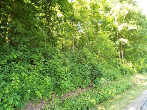 0 Sylvia St, Clayton, NY, 13624 | Card Image