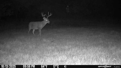 1210 County Road 1410, Cement, OK, 73017 | Card Image