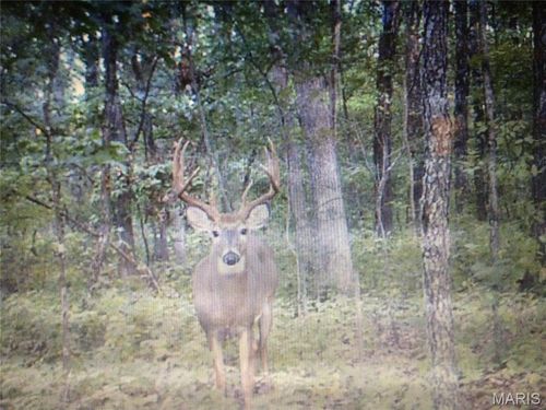 0 Turkey Ridge Rd, New Florence, MO, 63363 | Card Image