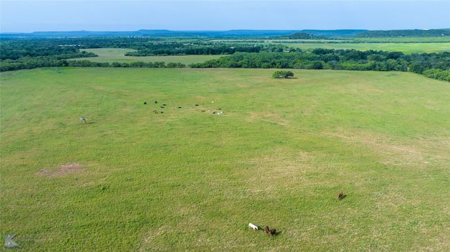 5030 Finis Rd, Home with 0 bedrooms, 0 bathrooms and null parking in Graham TX | Image 10
