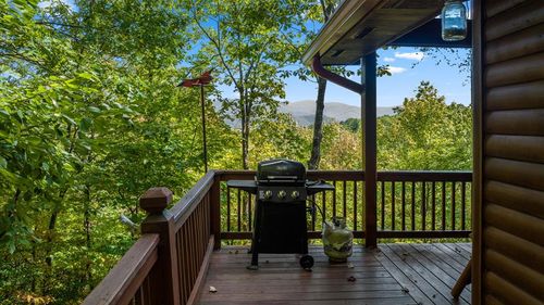 293 Broken Arrow Path, Cherry Log, GA, 30522 | Card Image