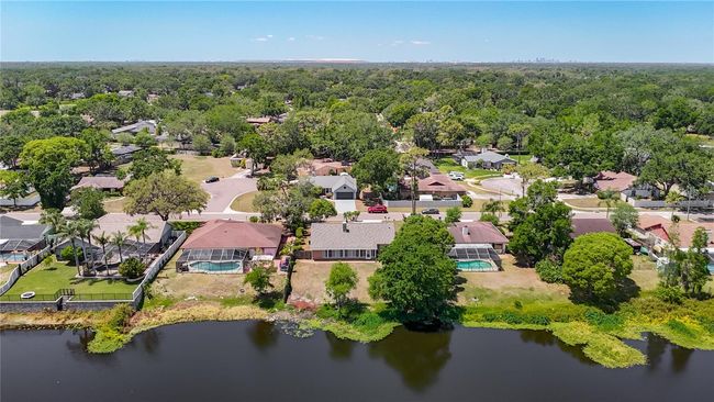 Backyard pond view | Image 9