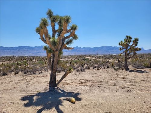 unit-4-1221 W Calico Dr, Meadview, AZ, 86444 | Card Image