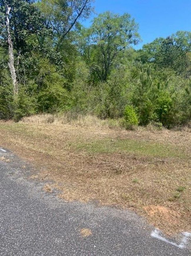 3851 River Rd, Home with 0 bedrooms, 0 bathrooms and null parking in Theodore AL | Image 4