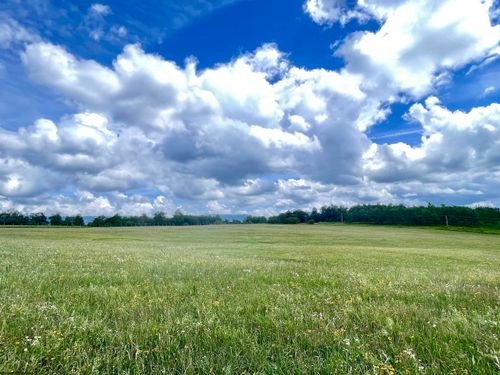 cortland-road-Tract I Mallow Lake Drive, Davis, WV, 26260 | Card Image