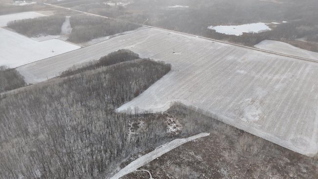 DJI_20241211150935_0403_D.JPG | Image 38
