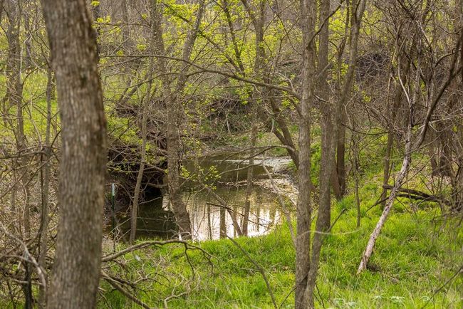 Water view | Image 66