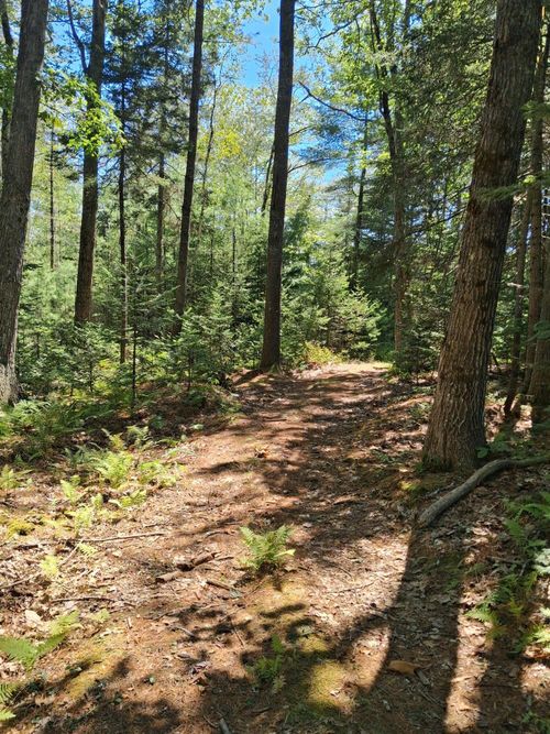 141 Spruce Ridge Subdivision, Edgecomb, ME, 04556 | Card Image