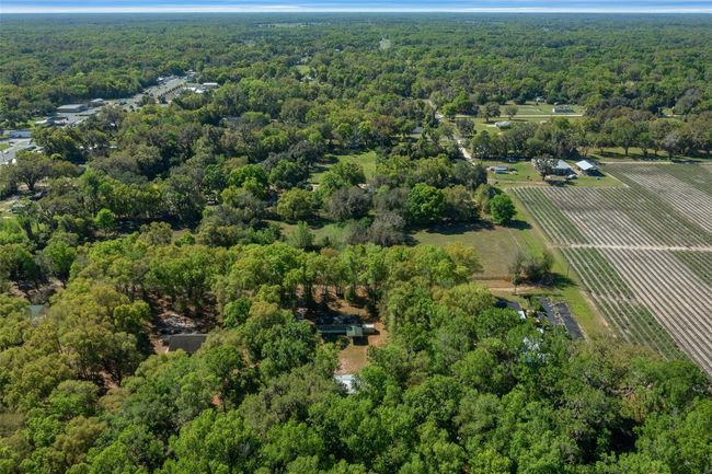2005 Ne 185 Th St, House other with 3 bedrooms, 2 bathrooms and null parking in CITRA FL | Image 65