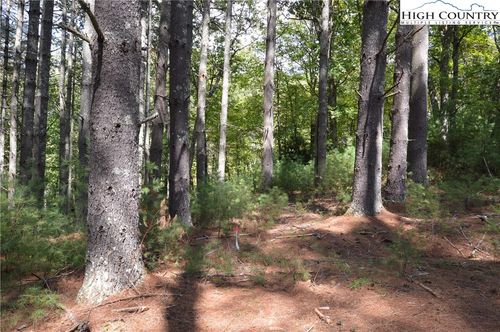 12 Enchanted Forrest Drive, Piney Creek, NC, 28663 | Card Image