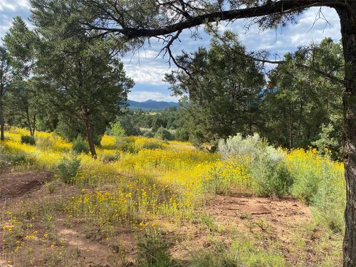 60 (Lot 5A) Cliff Vw, Glorieta, NM, 87535 | Card Image