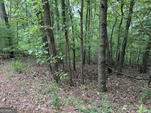 0 Shade Tree Dr, Talking Rock, GA, 30175 | Card Image