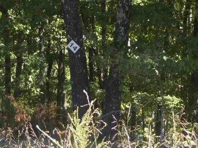 Lot 7 East Shore Dr., Home with 0 bedrooms, 0 bathrooms and null parking in Drasco AR | Image 2