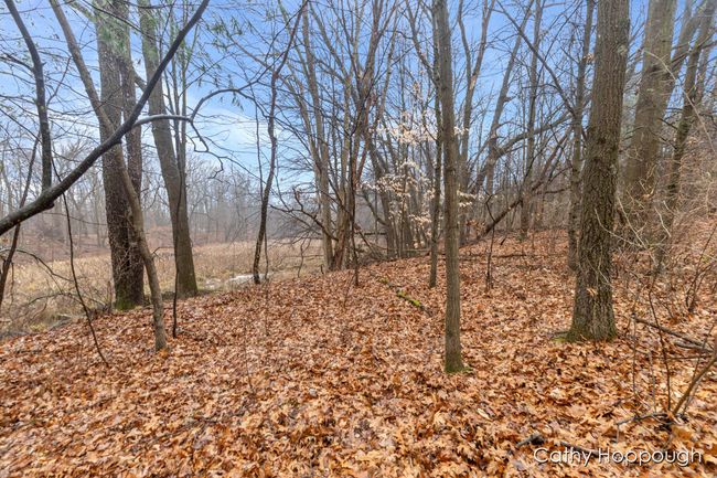PARCEL-1 - V/L W Snows Lake Road, Home with 0 bedrooms, 0 bathrooms and null parking in Fenwick MI | Image 11